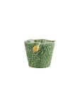 Vase Snail, , medium