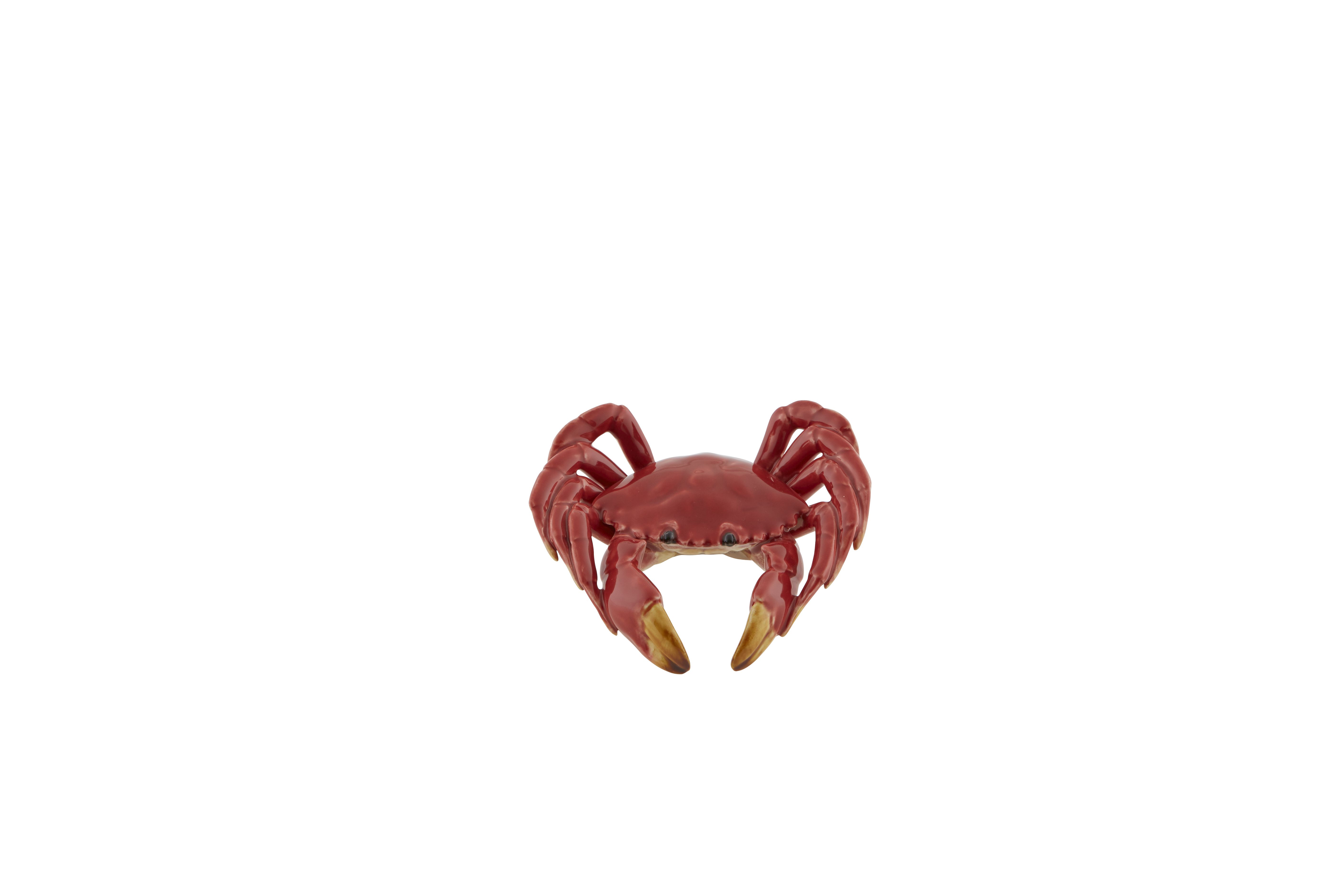 Crab, , large