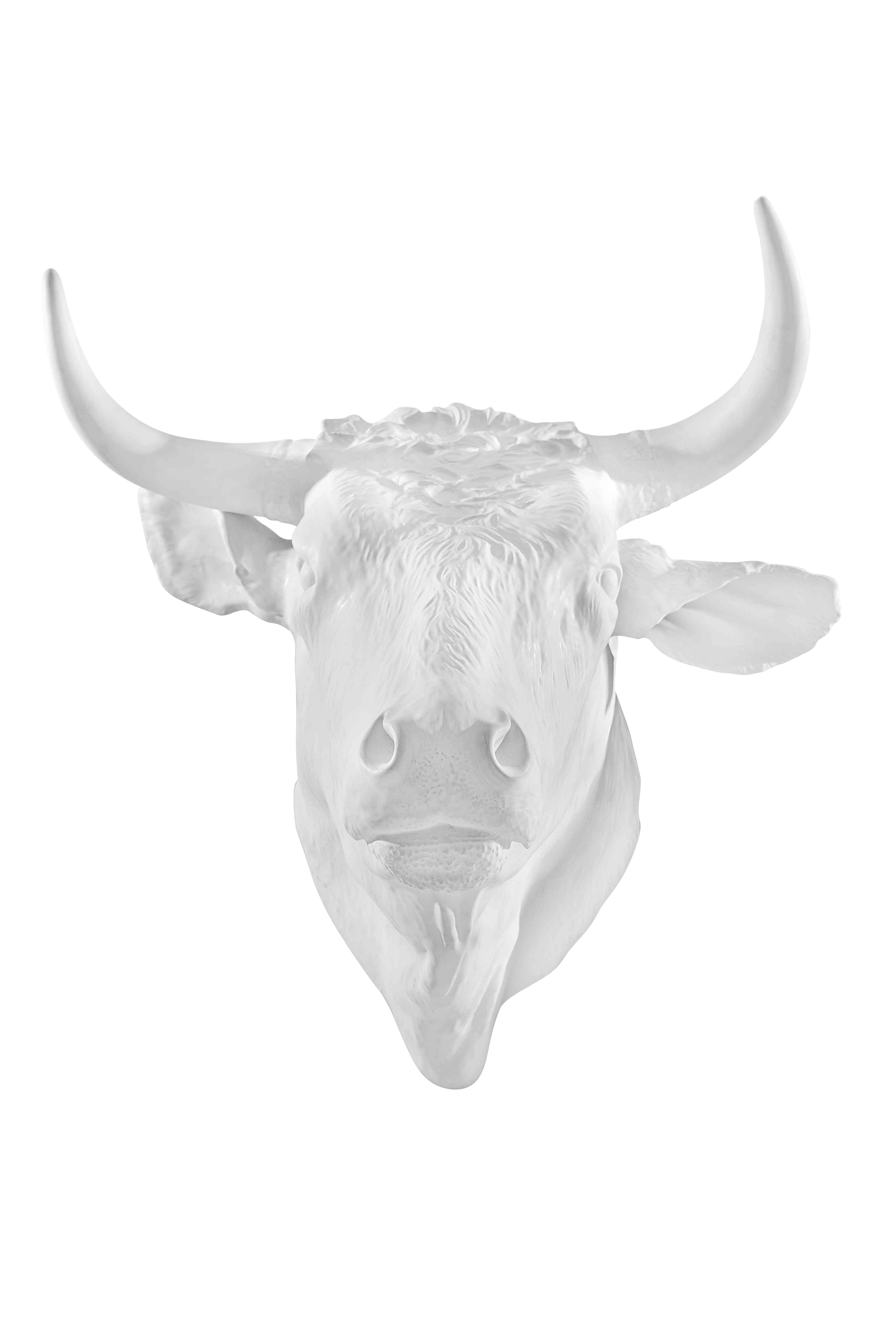 Taurus Head